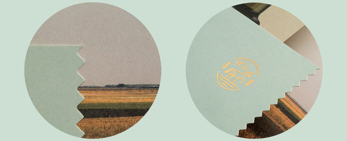 (餐飲)OLGA南瓜籽油品牌包裝vi設(shè)計(jì)欣賞 (餐飲)OLGA南瓜籽油品牌包裝vi設(shè)計(jì)欣賞,vi設(shè)計(jì),包裝vi設(shè)計(jì),餐飲品牌vi設(shè)計(jì),餐飲vi設(shè)計(jì),品牌包裝vi設(shè)計(jì),品牌vi設(shè)計(jì),vi品牌策劃,深圳vi設(shè)計(jì),左右格局